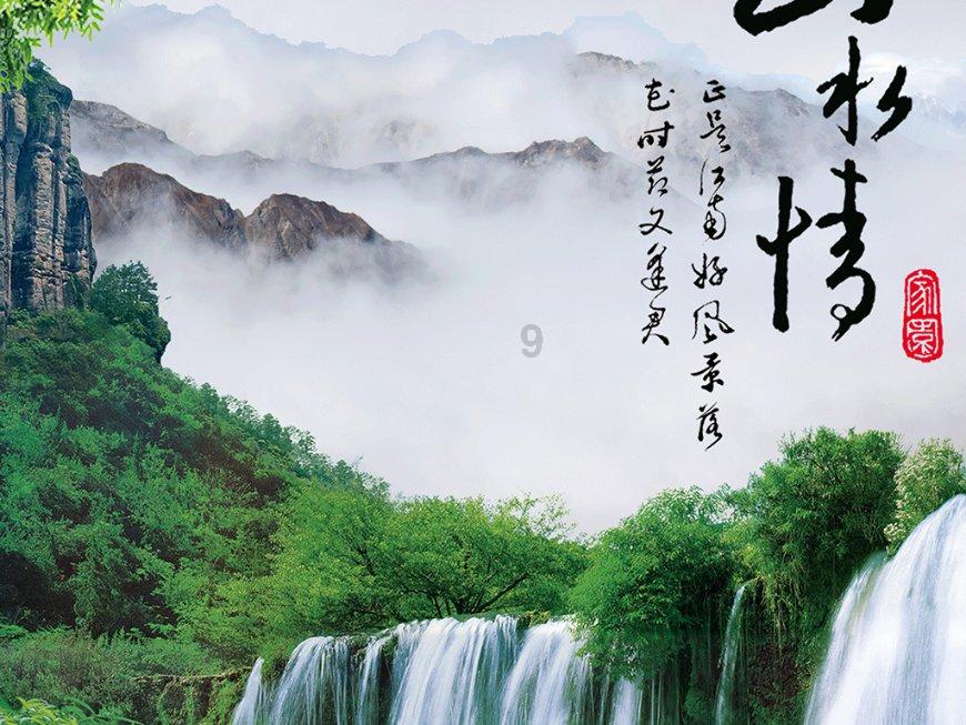 植物大战僵尸11